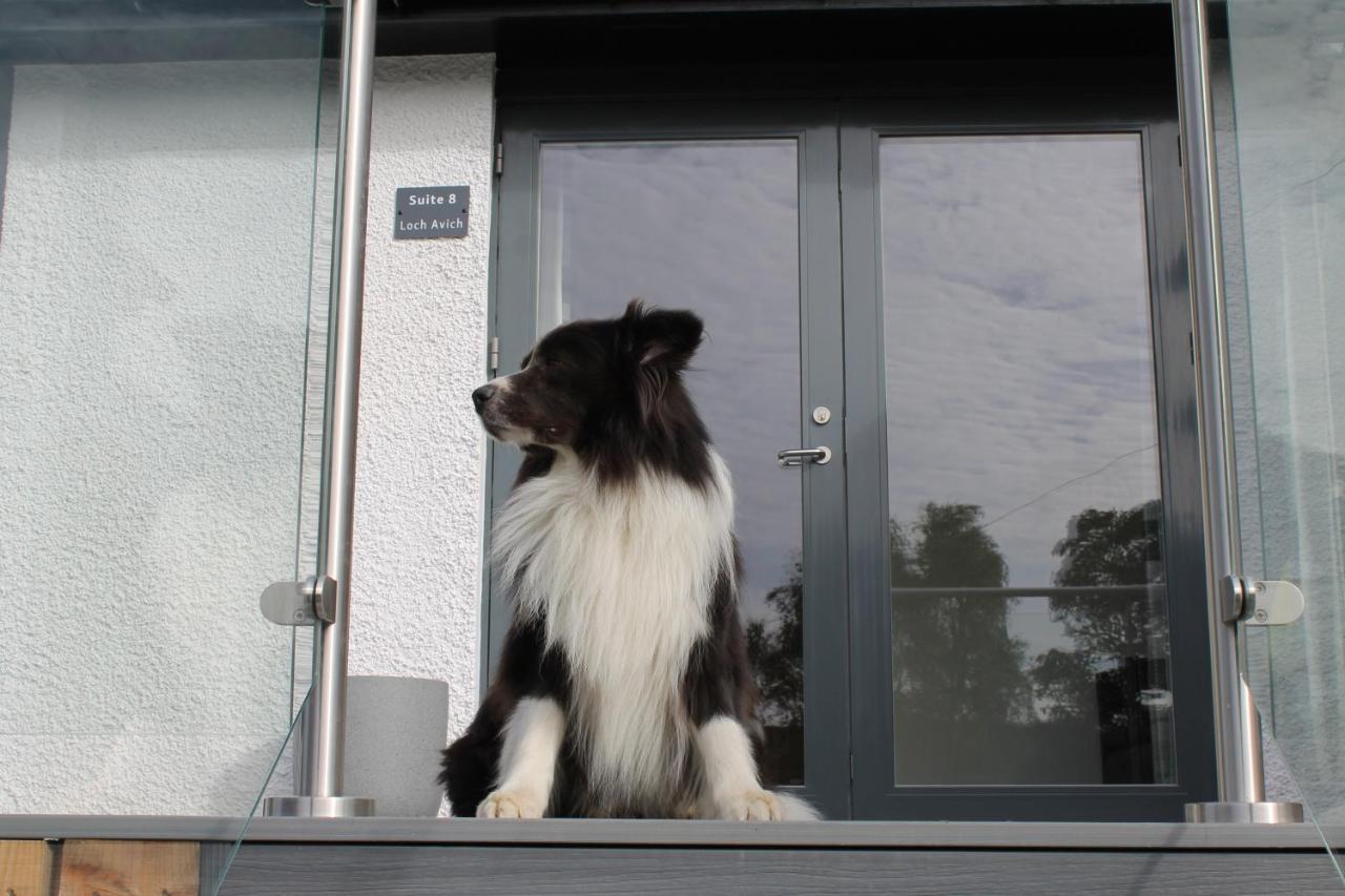 Ben Cruachan Inn - Restaurant, Pub With Rooms Loch Awe Exterior photo